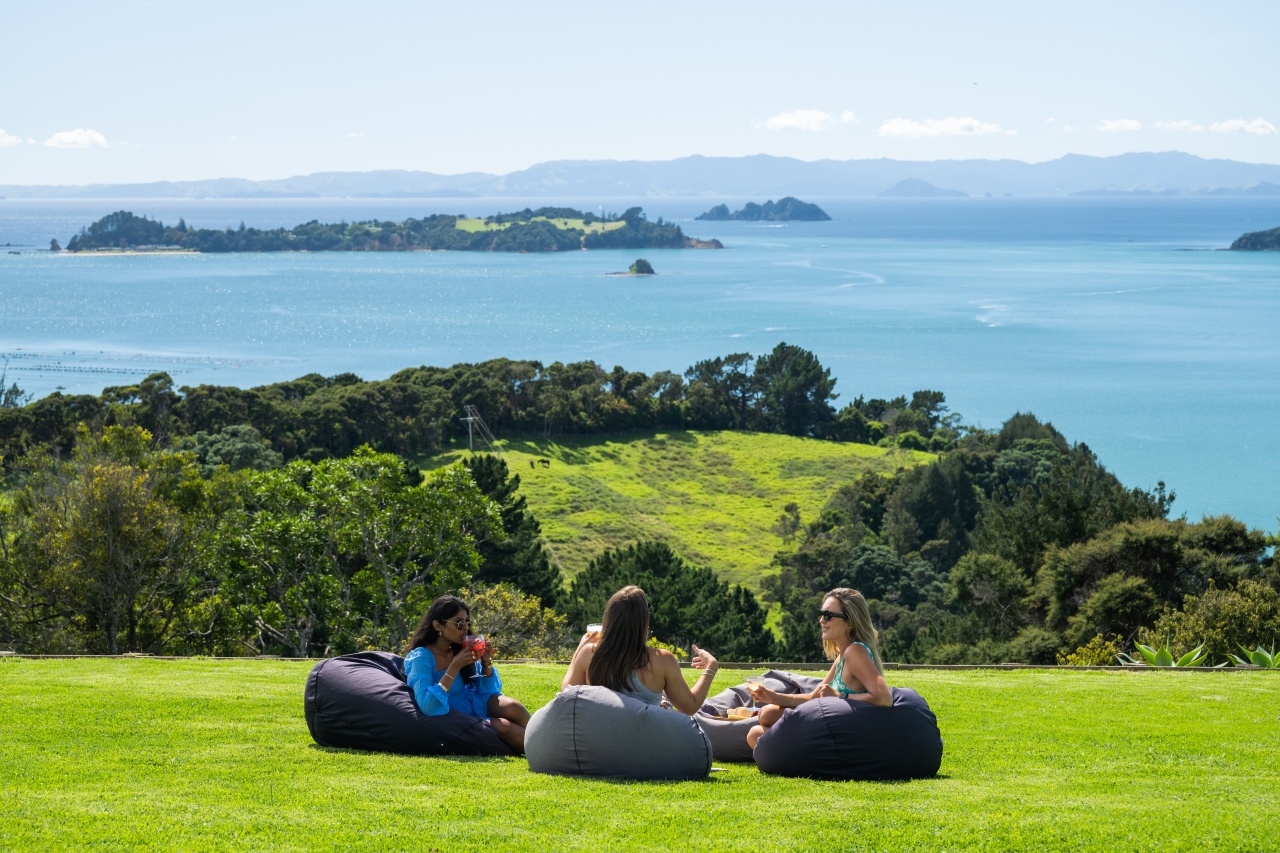 Waiheke island views