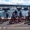 Harbour bridge views