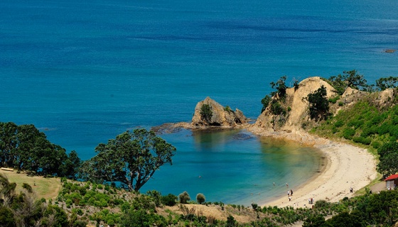 Aerial of Ladies Bay beach on Rotoroa Island