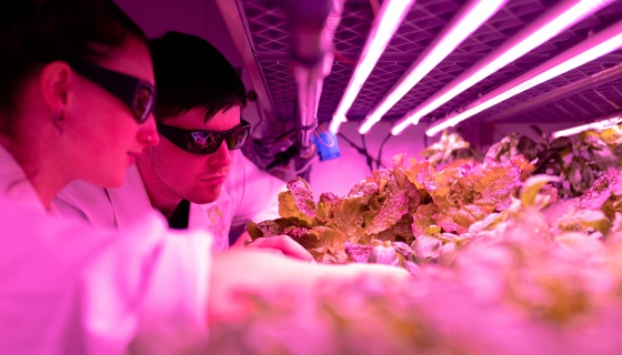 Agritech