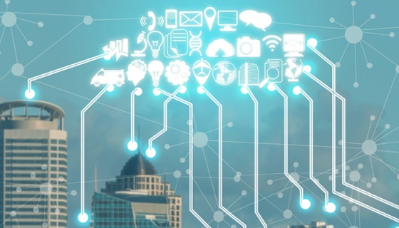 If you are thinking of growing your IT career, consider Auckand, New Zealand