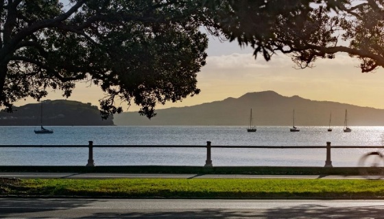 Man cycling at Tamaki Drive Mission Bay Auckland with sea views 
