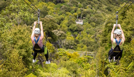 Two people ziplining through trees on Waiheke Island